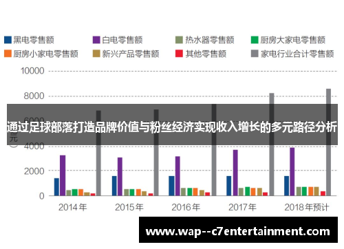 通过足球部落打造品牌价值与粉丝经济实现收入增长的多元路径分析