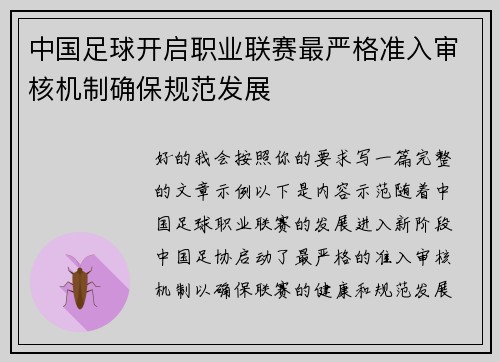 中国足球开启职业联赛最严格准入审核机制确保规范发展