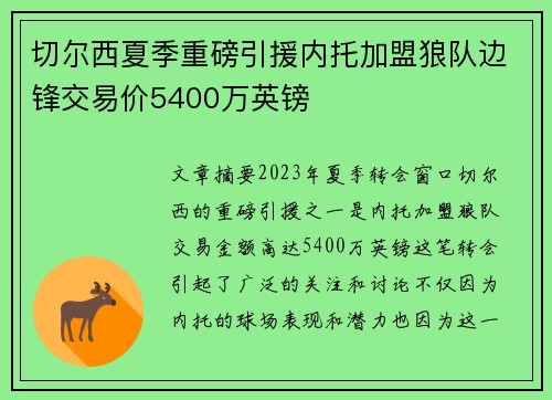 切尔西夏季重磅引援内托加盟狼队边锋交易价5400万英镑 切尔西夏季重磅引援内托加盟狼队边锋交易价5400万英镑